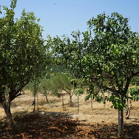 Lemoni 1, Andriani Vakantiehuis